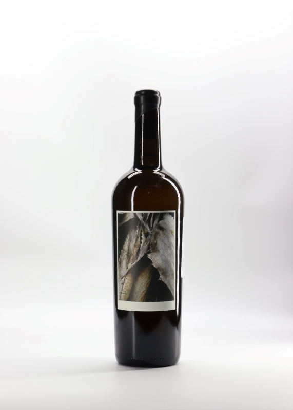 Sine Qua Non Resiste Proprietary White 2013